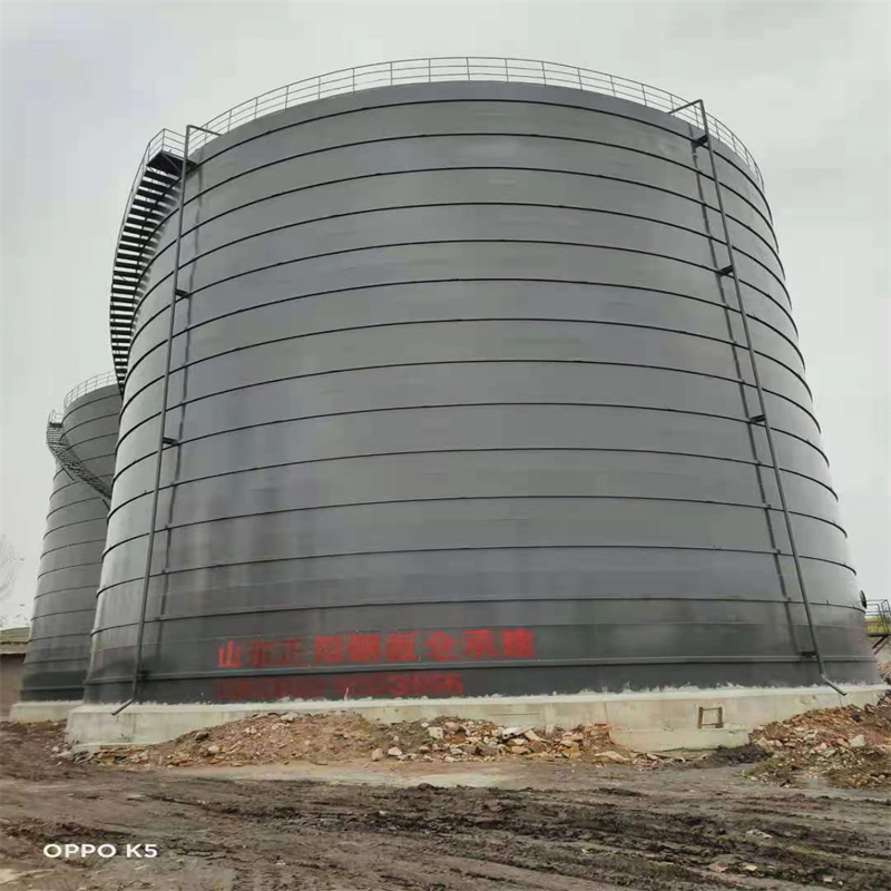 巩留3万吨大型钢板库