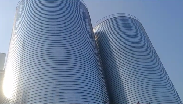 巩留2座混凝土高架卷板仓